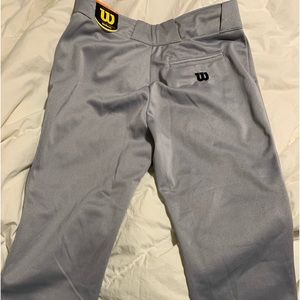 Baseball pants. Never worn. Smoke free home. Youth xl.